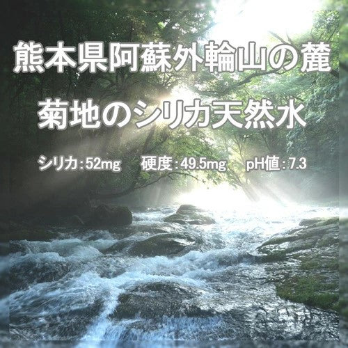天然水 SILICA52 水 ノンラベル 500ml 24本