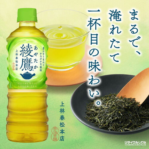 コカ・コーラ 選べる2種類 48本