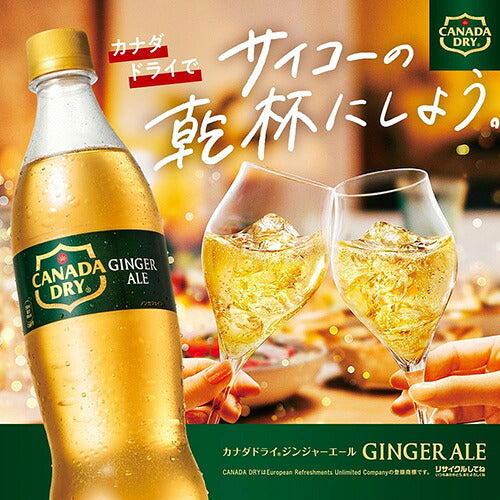 コカ・コーラ カナダドライ ジンジャーエール 160ml 缶 60本