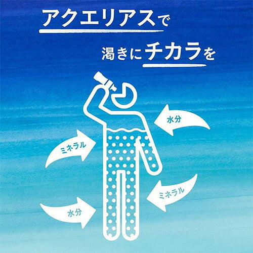 コカ・コーラ アクエリアス ハンディーパック 300g 30本