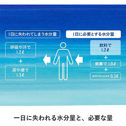 コカ・コーラ アクエリアス ハンディーパック 300g 60本
