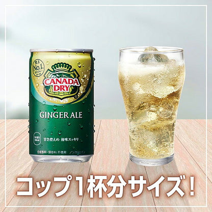 コカ・コーラ カナダドライ ジンジャーエール 160ml 缶 60本