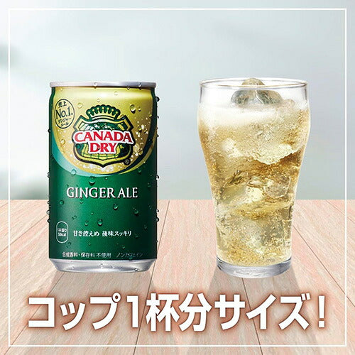 コカ・コーラ カナダドライジンジャーエール 160ml 缶 30本