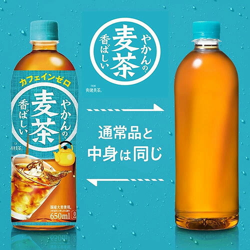 コカ・コーラ 選べる2種類 48本