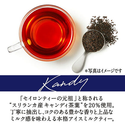 キリン 午後の紅茶 バラエティーセット 500ml 12本