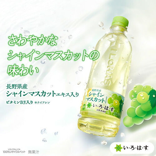 コカ・コーラ い・ろ・は・す シャインマスカット 540ml 24本