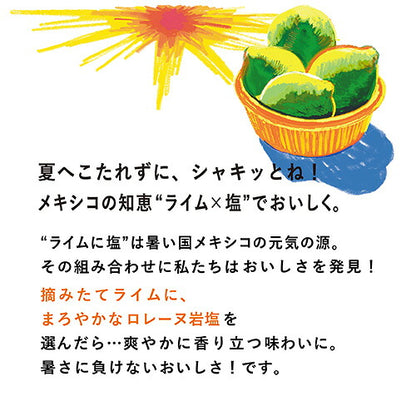 キリン 世界のKitchenから ライムソルト 500ml 48本