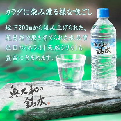 奥大和の銘水 500ml 24本