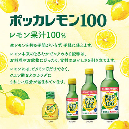 ポッカサッポロ ポッカレモン100 300ml 瓶 3本