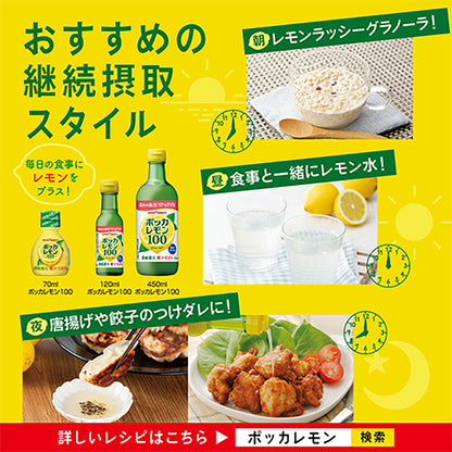 ポッカサッポロ ポッカレモン100 300ml 瓶 3本