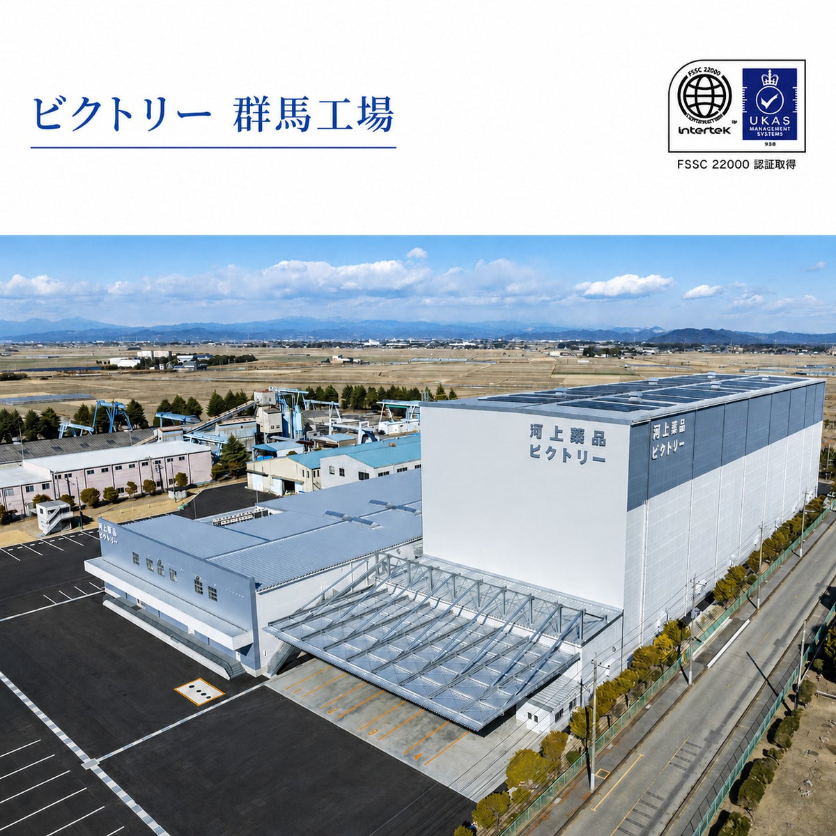 ラベルレス 国産 ピュアの森 水 500ml 48本