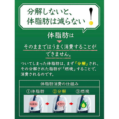 選べる サントリー 伊右衛門 特茶 500ml 24本