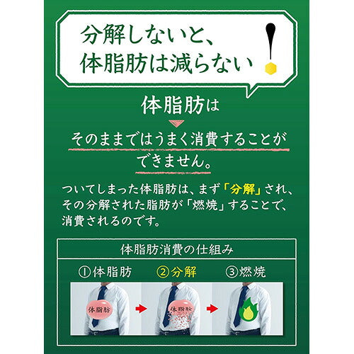 サントリー 伊右衛門 特茶 500ml 24本