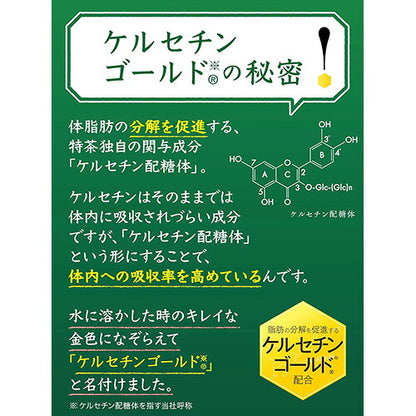 選べる サントリー 伊右衛門 特茶 500ml 24本