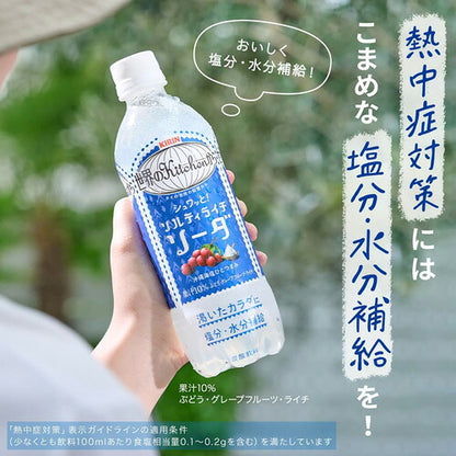 キリン 世界のKitchenから ソルティライチソーダ 500ml 48本