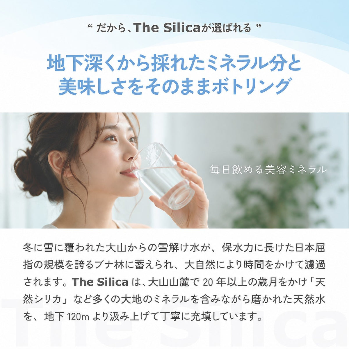 選べる The Silica ラベルあり なし プレミム 500ml 24本 48本
