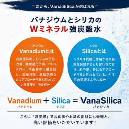 炭酸水 1000ml 24本