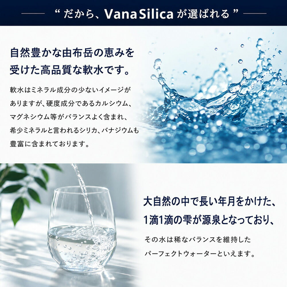 天然水 VanaSilica Water バナシリカウォーター 550ml 24本