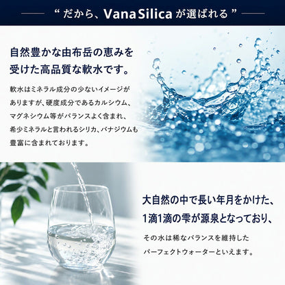 天然水 VanaSilica Water バナシリカウォーター 550ml 48本